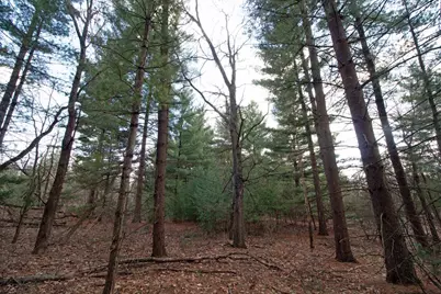 33564 Fulton Street, Lone Rock, WI 53556 - Photo 9