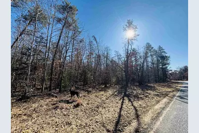 3059 10th Court, Springville, WI 53936 - Photo 3