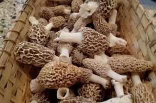 W7939 Territorial Rd, Delavan, WI 53115 - Photo 87