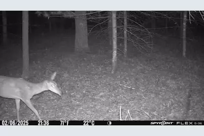 1004 Gem Court, Dell Prairie, WI 53965 - Photo 45