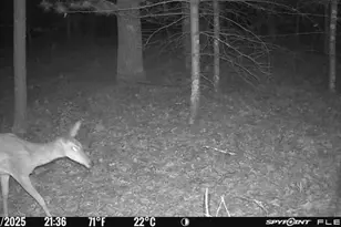 1004 Gem Ct, Dell Prairie, WI 53965 - Photo 45