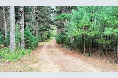 1004 Gem Court, Dell Prairie, WI 53965 - Photo 3