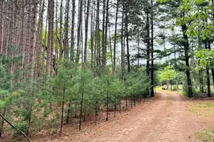 1004 Gem Ct, Dell Prairie, WI 53965 - Photo 51