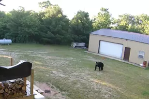 3179 11th Ave, Grand Marsh, WI 53936 - Photo 25