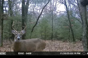 3179 11th Ave, Grand Marsh, WI 53936 - Photo 23