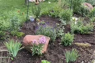 416 Herman St, Arena, WI 53503 - Photo 33