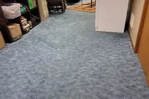 416 Herman St, Arena, WI 53503 - Photo 17