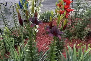 416 Herman St, Arena, WI 53503 - Photo 45