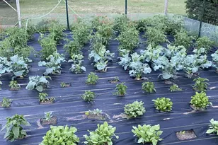 416 Herman St, Arena, WI 53503 - Photo 47