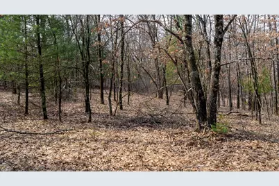 Lot 2 +/-43 Ac Dover Drive, Adams, WI 53910 - Photo 23