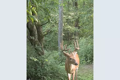 S7304 Sandusky Road, Hillpoint, WI 53937 - Photo 83