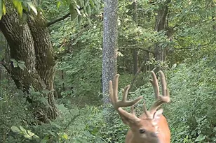 S7304 Sandusky Rd, Hillpoint, WI 53937 - Photo 83