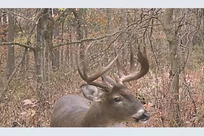 S7304 Sandusky Road, Hillpoint, WI 53937 - Photo 5