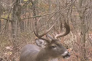 S7304 Sandusky Rd, Hillpoint, WI 53937 - Photo 5