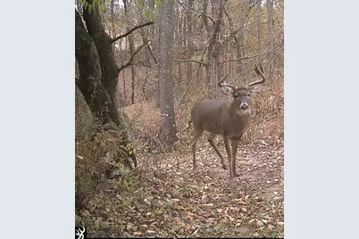 S7304 Sandusky Road, Hillpoint, WI 53937 - Photo 81