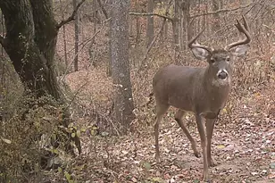 S7304 Sandusky Rd, Hillpoint, WI 53937 - Photo 81