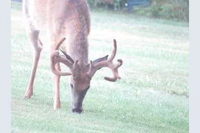 20A Sandusky Road, Hillpoint, WI 53937 - Photo 3