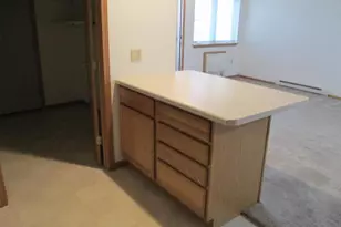 1407 15th St Street, Baraboo, WI 53913 - Photo 3