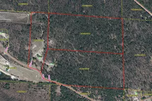 W2208 McLean Dr, Warrens,warrens, WI 54666 - Photo 73