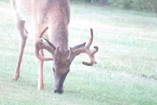 S7300 &amp S7304 Sandusky Rd, Hillpoint, WI 53937 - Photo 87