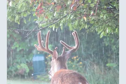 S7300 &amp; S7304 Sandusky Road, Hillpoint, WI 53937 - Photo 85