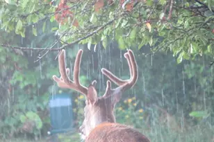 S7300 &amp S7304 Sandusky Rd, Hillpoint, WI 53937 - Photo 85