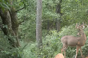 S7300 &amp S7304 Sandusky Rd, Hillpoint, WI 53937 - Photo 73