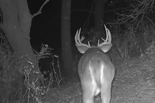 S7300 &amp S7304 Sandusky Rd, Hillpoint, WI 53937 - Photo 75