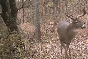 S7300 &amp S7304 Sandusky Rd, Hillpoint, WI 53937 - Photo 7