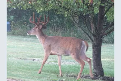 S7300 &amp; S7304 Sandusky Road, Hillpoint, WI 53937 - Photo 83