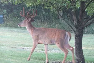 S7300 &amp S7304 Sandusky Rd, Hillpoint, WI 53937 - Photo 83