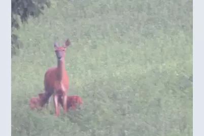 S7304 Sandusky Road, Hillpoint, WI 53937 - Photo 25