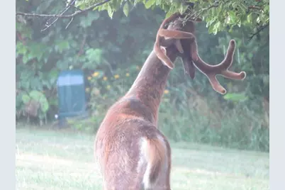 S7304 Sandusky Road, Hillpoint, WI 53937 - Photo 27