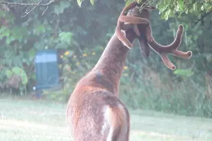 S7304 Sandusky Rd, Hillpoint, WI 53937 - Photo 27