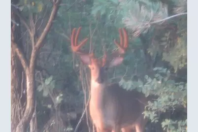 S7304 Sandusky Road, Hillpoint, WI 53937 - Photo 23