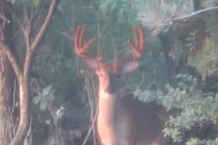 S7304 Sandusky Rd, Hillpoint, WI 53937 - Photo 23