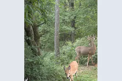 S7304 Sandusky Road, Hillpoint, WI 53937 - Photo 89