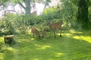 851 Cr Hwy N Rd, Stoughton, WI 53589 - Photo 39