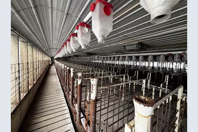 N5000 County Highway M Acres, Darien, WI 53114 - Photo 11