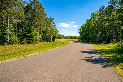 Lot 12 19th Boulevard, Friendship, WI 53934 - Photo 5