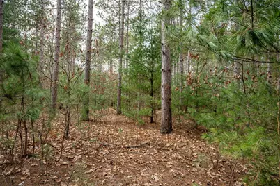 Lot 12 19th Boulevard, Friendship, WI 53934 - Photo 11