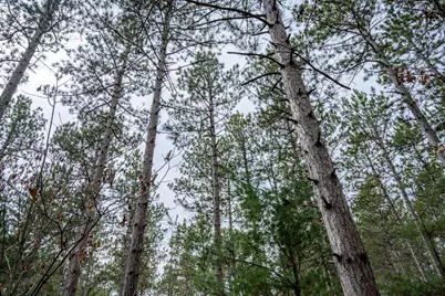 Lot 12 19th Boulevard, Friendship, WI 53934 - Photo 9