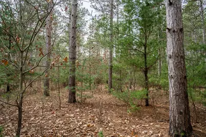 Lot 12 19th Boulevard, Friendship, WI 53934 - Photo 13