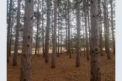 2Ac Cree Road, Coloma, WI 54930 - Photo 5