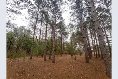 2Ac Cree Road, Coloma, WI 54930 - Photo 7