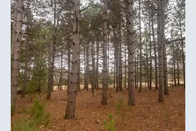 2Ac Cree Road, Coloma, WI 54930 - Photo 13