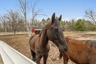 1135 County Road K Rd, Wisconsin Dells, WI 53965 - Photo 77