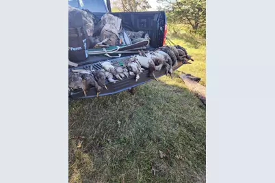 44+/- Acres 14th Road, Montello, WI 53949 - Photo 7