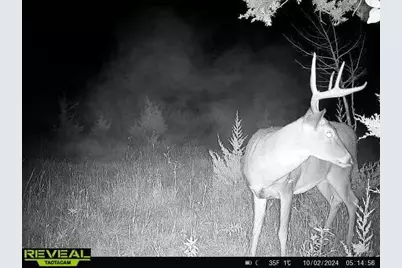 44+/- Acres 14th Road, Montello, WI 53949 - Photo 23