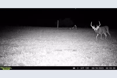 44+/- Acres 14th Road, Montello, WI 53949 - Photo 17